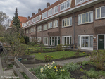 Grote voortuinen middelste deel van het blok.
<br/>
Corrie Groen- Pickhard, 2017-03-22